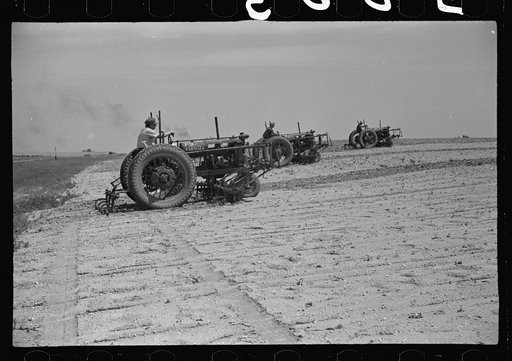 Untitled photo, possibly related to: Cultivators on Seabrook Farms, between Bridgeton, and Vineland, New Jersey. This farm with several thousand acres of its' own and more thousands under contract, grows such truck crops as beans and peas almost entirely by mechanical means for its own large cannery