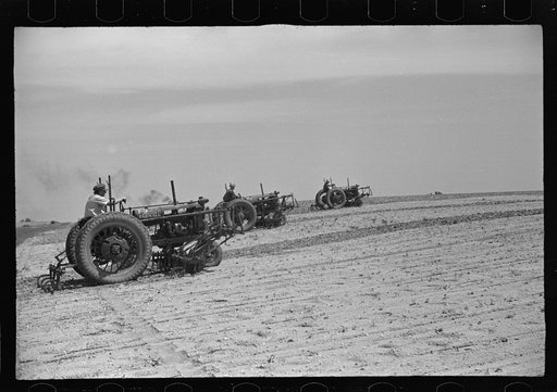 Cultivators on Seabrook Farms, between Bridgeton, and Vineland, New Jersey. This farm with several thousand acres of its' own and more thousands under contract, grows such truck crops as beans and peas almost entirely by mechanical means for its own large cannery for rapid freezing and lots for the 
