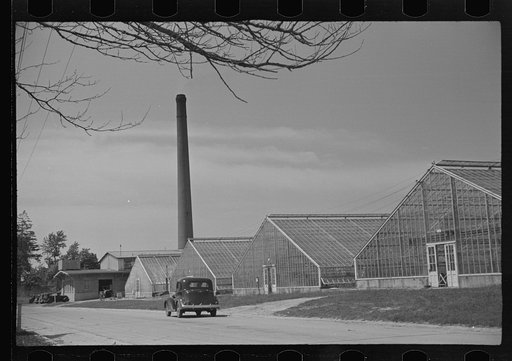 Untitled photo, possibly related to: Greenhouses on Seabrook Farms, between Bridgeton and Vineland, New Jersey. Farms such as this have made a science of agriculture. This one is run by an agronomist and tractor drivers under him. Little ordinary farm labor is employed and that only seasonably