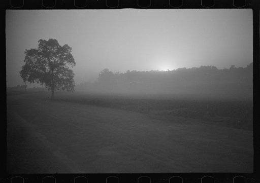 Untitled photo, possibly related to: Dusting planes (agricultural sprayers) fly mainly at dawn and dusk when the wind dies down. Their extreme proximity to the ground can turn any sudden gust of wind into an accident. They hedge-hop over obstacles, must remain low to the very edge of the field to be