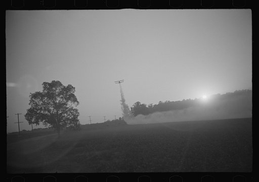 Dusting planes (agricultural sprayers) fly mainly at dawn and dusk when the wind dies down. Their extreme proximity to the ground can turn any sudden gust of wind into an accident. They hedge-hop over obstacles, must remain low to the very edge of the field to be effective. Former bootlegging pilots