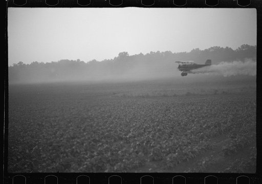 Untitled photo, possibly related to: Dusting planes (agricultural sprayers) fly mainly at dawn and dusk when the wind dies down. Their extreme proximity to the ground can turn any sudden gust of wind into an accident. They hedge-hop over obstacles, must remain low to the very edge of the field to be