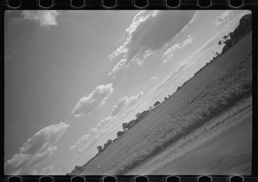 Untitled photo, possibly related to: Dusting planes (agricultural sprayers) fly mainly at dawn and dusk when the wind dies down. Their extreme proximity to the ground can turn any sudden gust of wind into an accident. They hedge-hop over obstacles, must remain low to the very edge of the field to be