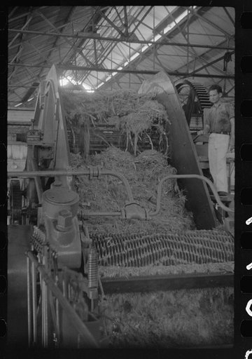 Untitled photo, possibly related to: Sugar crusher in action in a refinery near Ponce, Puerto Rico
