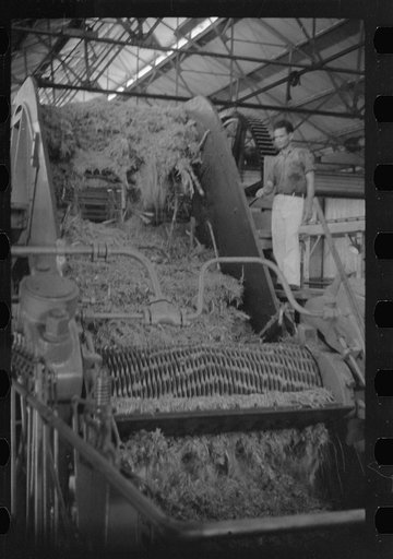 Untitled photo, possibly related to: Sugar crusher in action in a refinery near Ponce, Puerto Rico