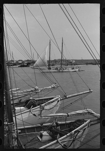 Untitled photo, possibly related to: Aboard a trap fishing boat. The deck of the boat on the way home. Provincetown, Massachusetts