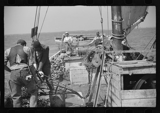 Untitled photo, possibly related to: Aboard a trap fishing boat. The deck of the boat on the way home. Provincetown, Massachusetts