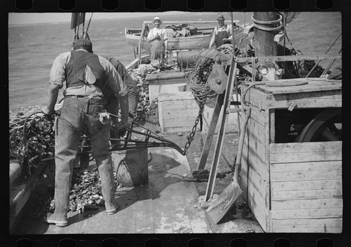 Untitled photo, possibly related to: Aboard a trap fishing boat. The deck of the boat on the way home. Provincetown, Massachusetts