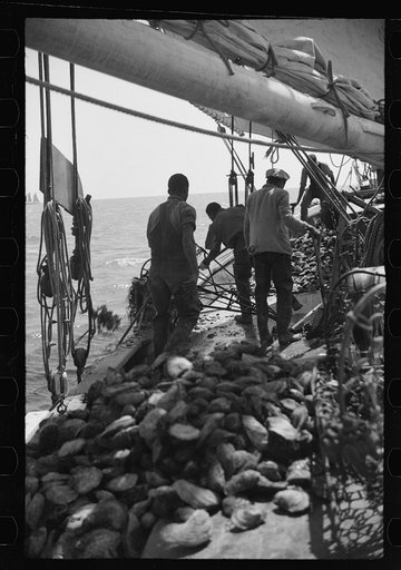 Untitled photo, possibly related to: Aboard a trap fishing boat. The deck of the boat on the way home. Provincetown, Massachusetts