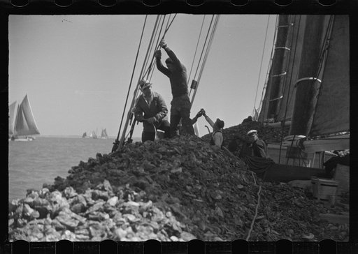 Untitled photo, possibly related to: Summer residents watch the tourist boat arrive from Boston, Provincetown, Massachusetts