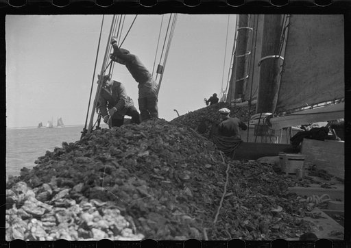 Untitled photo, possibly related to: Summer residents watch the tourist boat arrive from Boston, Provincetown, Massachusetts