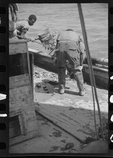 Untitled photo, possibly related to: Summer residents watch the tourist boat arrive from Boston, Provincetown, Massachusetts
