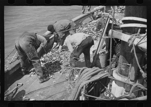 Untitled photo, possibly related to: Summer residents watch the tourist boat arrive from Boston, Provincetown, Massachusetts