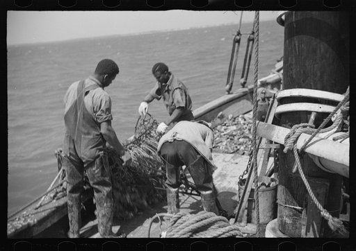 Untitled photo, possibly related to: Summer residents watch the tourist boat arrive from Boston, Provincetown, Massachusetts