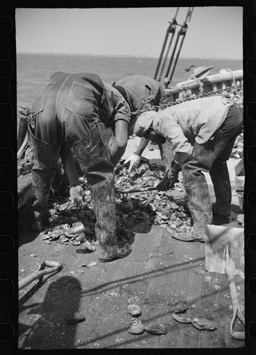 Untitled photo, possibly related to: Summer residents watch the tourist boat arrive from Boston, Provincetown, Massachusetts