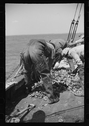 Untitled photo, possibly related to: Summer residents watch the tourist boat arrive from Boston, Provincetown, Massachusetts