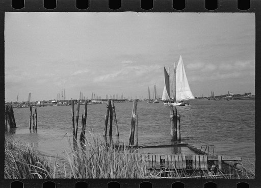 Untitled photo, possibly related to: Summer residents watch the tourist boat arrive from Boston, Provincetown, Massachusetts
