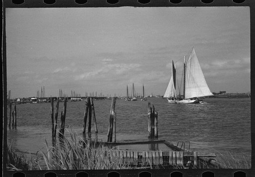 Untitled photo, possibly related to: Summer residents watch the tourist boat arrive from Boston, Provincetown, Massachusetts
