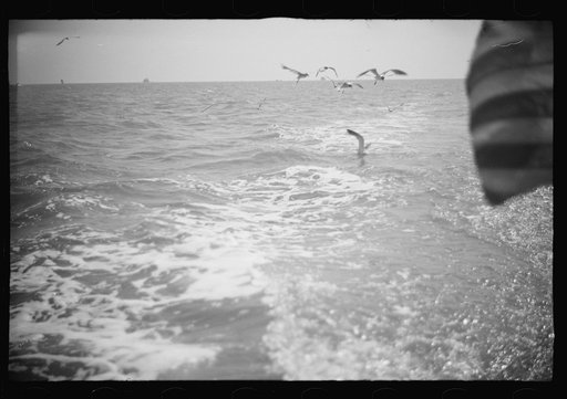 Untitled photo, possibly related to: Aboard a trap fishing boat. The deck of the boat on the way home. Provincetown, Massachusetts