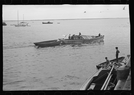 Trap fishing boats. These boats are diesel-powered and are used to go in the early morning to collect the fish in the line of "traps" or "wiers" which are stretched along the coast. Provincetown, Massachusetts