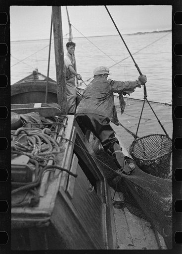 Untitled photo, possibly related to: Aboard a trap fishing boat. Dipping fish aboard. See caption 5067-M1. Provincetown, Massachusetts