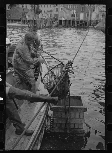 Untitled photo, possibly related to: Aboard a trap fishing boat, pulling the net into the boat. The trap, which is nothing but a gigantic net, is pulled into the boat on one side and thrown overboard on the other until finally a small pocket is made where fish mill around by the thousands. Sometimes
