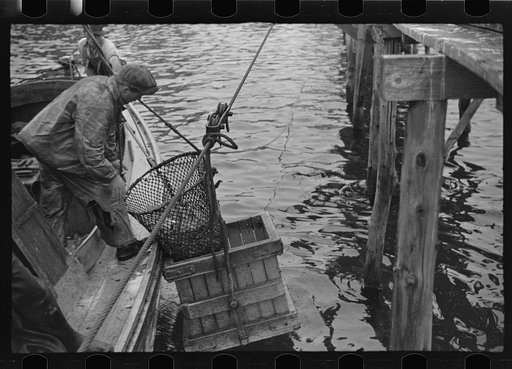 Aboard a trap fishing boat, delivering fish at the freezer. Most of the trap boats are owned by the freezers. Men work on shares, the company gets fifty percent. Prices are set according to days supply in all traps. As in almost all cases traps share equally in a day's run. Fishermen get little mone