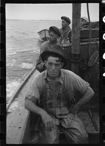 Untitled photo, possibly related to: Aboard a trap fishing boat, pulling the net into the boat. The trap, which is nothing but a gigantic net, is pulled into the boat on one side and thrown overboard on the other until finally a small pocket is made where fish mill around by the thousands. Sometimes