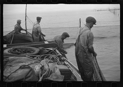 Untitled photo, possibly related to: Aboard a trap fishing boat, pulling the net into the boat. The trap, which is nothing but a gigantic net, is pulled into the boat on one side and thrown overboard on the other until finally a small pocket is made where fish mill around by the thousands. Sometimes