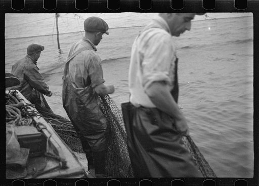 Untitled photo, possibly related to: Aboard a trap fishing boat, pulling the net into the boat. The trap, which is nothing but a gigantic net, is pulled into the boat on one side and thrown overboard on the other until finally a small pocket is made where fish mill around by the thousands. Sometimes