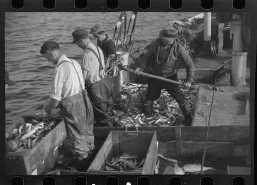 Untitled photo, possibly related to: Aboard a trawler (locally called a dragger). The power-driven winch lets out the starboard net. While over fishing grounds one of two nets is constantly in the water, dragging along the bottom. Boats are powerful, diesel-engined, between forty and seventy-five fe