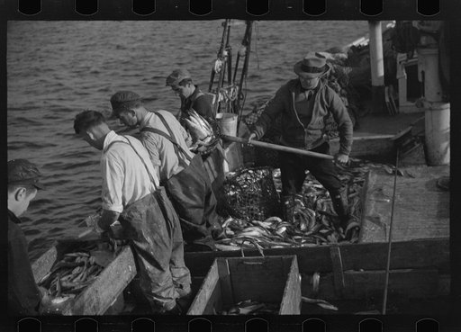 Untitled photo, possibly related to: Aboard a trawler (locally called a dragger). The power-driven winch lets out the starboard net. While over fishing grounds one of two nets is constantly in the water, dragging along the bottom. Boats are powerful, diesel-engined, between forty and seventy-five fe