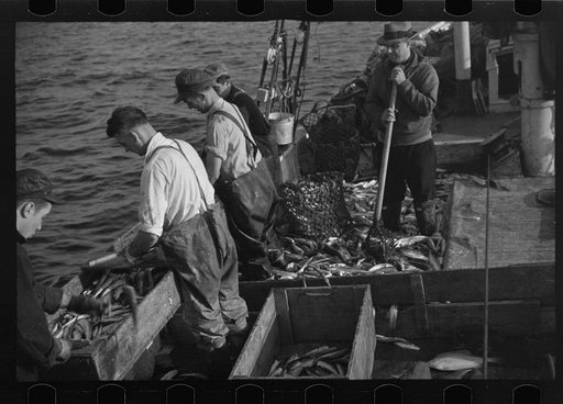 Untitled photo, possibly related to: Aboard a trawler (locally called a dragger). The power-driven winch lets out the starboard net. While over fishing grounds one of two nets is constantly in the water, dragging along the bottom. Boats are powerful, diesel-engined, between forty and seventy-five fe