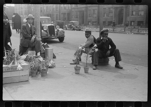 Lily vendors on Easter Sunday, Black Belt, Chicago, Illinois