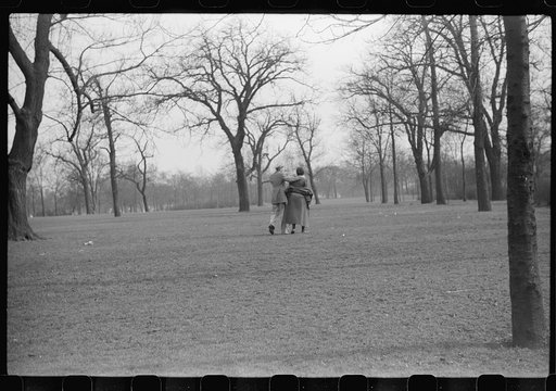 Untitled photo, possibly related to: In the park. This park, created when the section was white, has now been taken over by Negroes. Chicago, Illinois