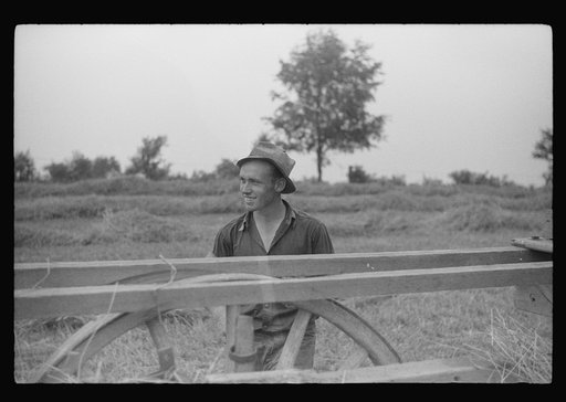 Untitled photo, possibly related to: Percheron stallion brought to mare for mating, on farm near Pine Grove Mills, Pennsylvania