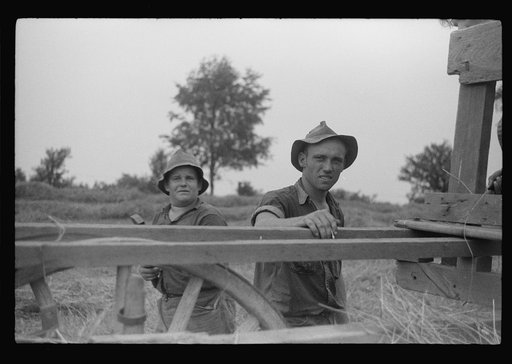 Untitled photo, possibly related to: Percheron stallion brought to mare for mating, on farm near Pine Grove Mills, Pennsylvania