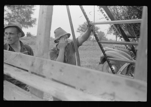 Untitled photo, possibly related to: Percheron stallion brought to mare for mating, on farm near Pine Grove Mills, Pennsylvania
