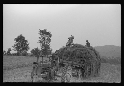 Untitled photo, possibly related to: Percheron stallion brought to mare for mating, on farm near Pine Grove Mills, Pennsylvania