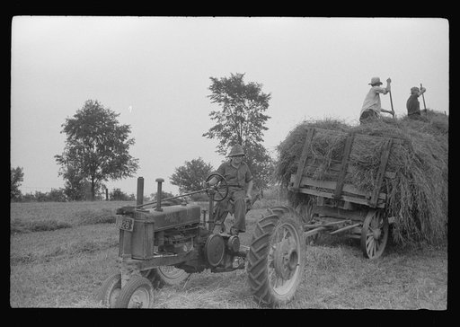 Untitled photo, possibly related to: Percheron stallion brought to mare for mating, on farm near Pine Grove Mills, Pennsylvania