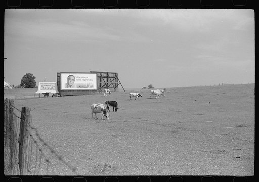 Untitled photo, possibly related to: Sign near Mercersberg, Pennsylvania