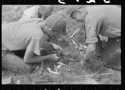 A catch of fish, Pine Grove Mills, Pennsylvania