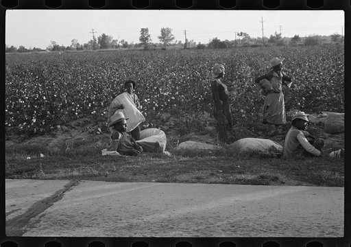 Untitled photo, possibly related to: Cotton pickers, Pulaski County, Arkansas