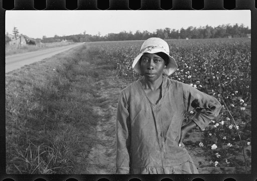 Untitled photo, possibly related to: Cotton pickers, Pulaski County, Arkansas
