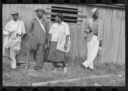 Cotton pickers, Pulaski County, Arkansas
