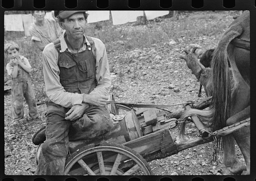 Untitled photo, possibly related to: Family of Arkansas sharecropper