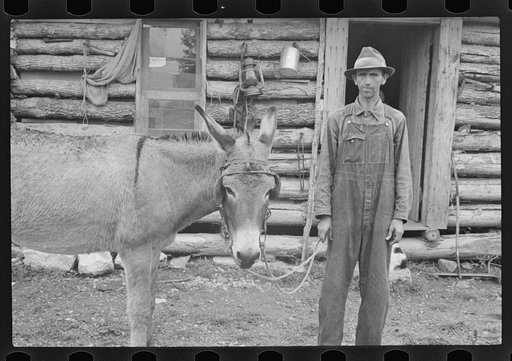 Rehabilitation client, Boone County, Arkansas