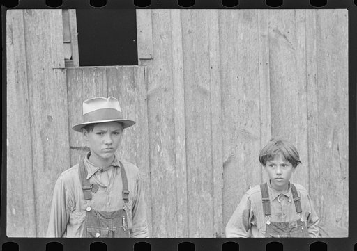 Untitled photo, possibly related to: Sam Nichols, tenant farmer, Boone County, Arkansas