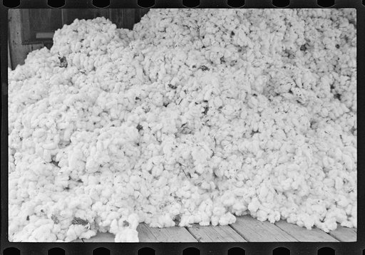 Cotton on porch of sharecropper's home. Maria plantation, Arkansas
