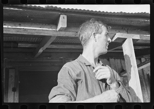 Untitled photo, possibly related to: Arkansas tenant farmer